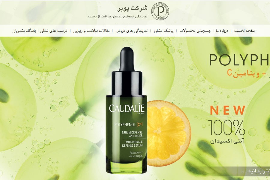 وب سایت شرکت پوبر - Poober